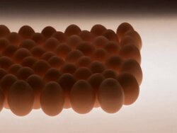 CU, PAN, Rows of brown eggs against white background Stock Footage