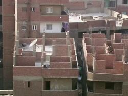 MS TD Shot of animals eating at Garbage habitation with under construction buildings / Cairo, Egypt Stock Footage