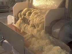 Pickled cabbage on conveyor line Stock Footage