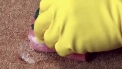 Cleaning red wine stain from carpet Stock Footage