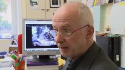 Video said to show Syrian soldiers being killed may show war crime, group says News Clip