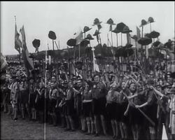 Boy Scouts Jamboree in Holland. News Clip