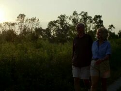 Senior Couple Hiking Stock Footage