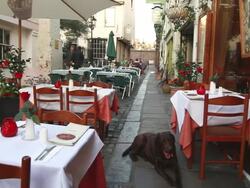 MS PAN dog sitting on floor and man walking through outdoor seating for traditional pub / Windsor, England, United Kingdo Stock Footage