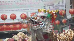 Head of dragon dance. Stock Footage