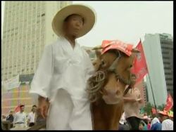 Thousands of farmers rally against FTA with US News Clip