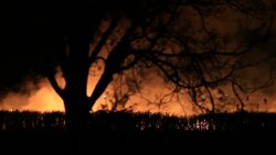 wildfire Stock Footage