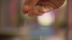 A woman sprinkles rice onto a vat filled with silk cocoons to absorb moisture. Stock Footage