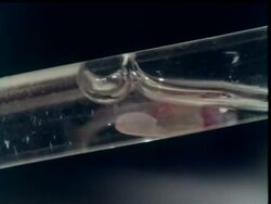 TROUT FARM News Clip