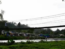 People walk on a rope bridge Stock Footage
