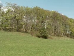 landscape changing seasons from early spring to fresh green  Stock Footage