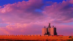 Grain Elevator and Freight Train Stock Footage