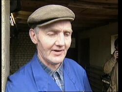 HOLLAND: FIRST BRITISH COWS SLAUGHTERED  OVER BSE SCARE News Clip