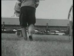 Spreading fertiliser, England, UK 1940 Stock Footage
