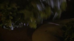 After the Sochi Olympics, experience a traditional Russian banya spa ++REPLAY++ News Clip