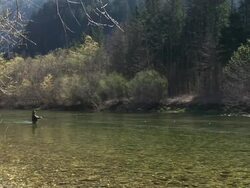 HD: Fishing Stock Footage