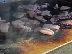 Fresh squid on grill Stock Footage