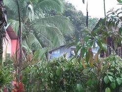 Tortuguero village under the rain Stock Footage