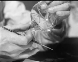 HOBBY IN GLASS News Clip