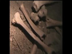 A representative of Mexico's main anthropology agency says the remains of 167 people found in a cave in the country's south were part of a pre-Hispanic cemetery dating back some 1,300 years. News Clip