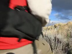 Travelling Man walking in the field between Argentina and Chile Stock Footage