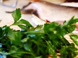 Cutting fresh herbes Stock Footage