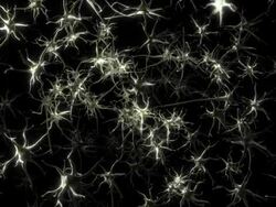 Neurons in a field sharing impulses Stock Footage