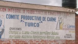 VOICED : Llama meat a new culinary hit in Bolivia News Clip