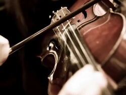 Woman playing violin in symphony orchestra Stock Footage