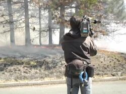 MS, Canada, Ontario, Toronto, News camera man filming forest fire, rear view Stock Footage