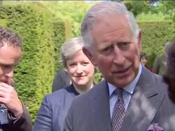 Prince Charles visits Wildflower Meadow in Highgrove News Clip
