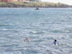 WS View of Young Surfer in sea / Rapa Nui National Park, Easter Island, Chile  Stock Footage