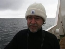 Polar bears threatening by retreating sea ice News Clip