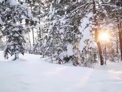 Winter Sunrise Stock Footage