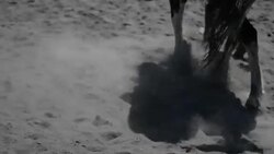 MS leg horse walk on desert in Bromo Tengger Semeru National Park, East Java, Indonesia Stock Footage