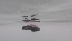 CLEAN : From Med's largest nesting ground turtles swim to uncertain future News Clip