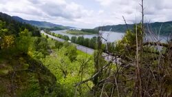 Columbia Gorge dolly  shot Stock Footage