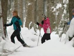 HD: Snowshoeing In The Forest Stock Footage