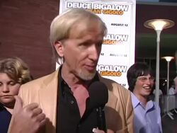 'Deuce Bigalow: European Gigolo' Las Vegas Premiere Stock Footage