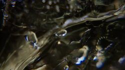 Extreme close up of an ice cube with light effects Stock Footage