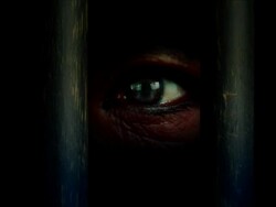 looking for freedom Stock Footage