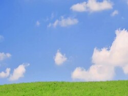 T/L Summer Hill Stock Footage