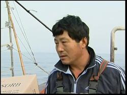 Clean up continues after oil spill on western coast News Clip