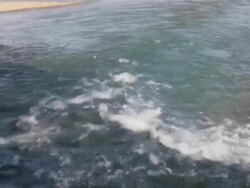 Estuary (HD) Stock Footage