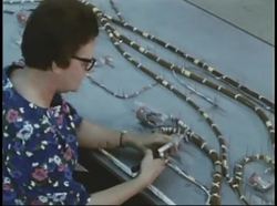 Space Facts - Gemini Missions Instructional Video