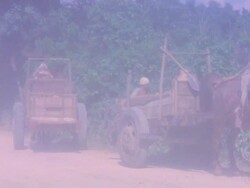 Rural Scene Stock Footage