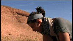 World's smallest butterfly species threatened News Clip