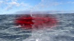 Massive red tide threatens ocean life and tourism in Florida Instructional Video