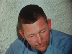 Montage: Where's the kitty? Stock Footage