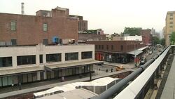 CLEAN : New Yorks High Line celebrates fifth birthday News Clip